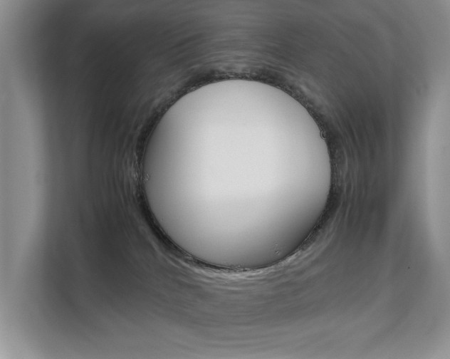X0000111880040200907231436