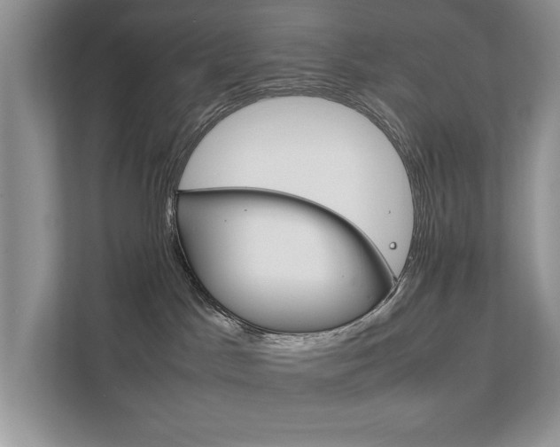 X0000111880045200907231436