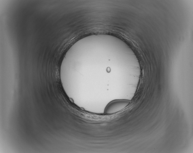 X0000111880048200907231436