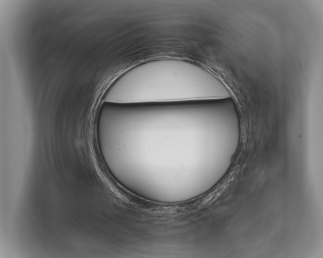 X0000111880049200907231435