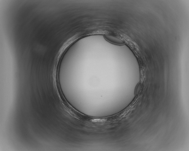 X0000111880051200907231435