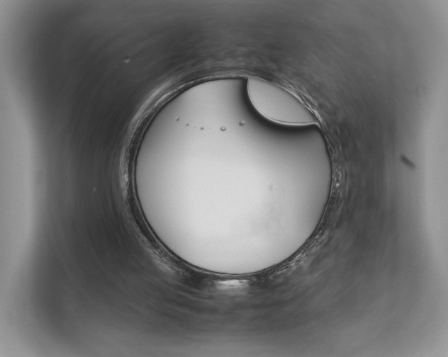 X0000111880053200907231435