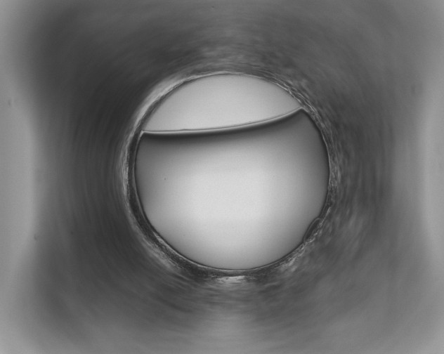 X0000111880054200907231435