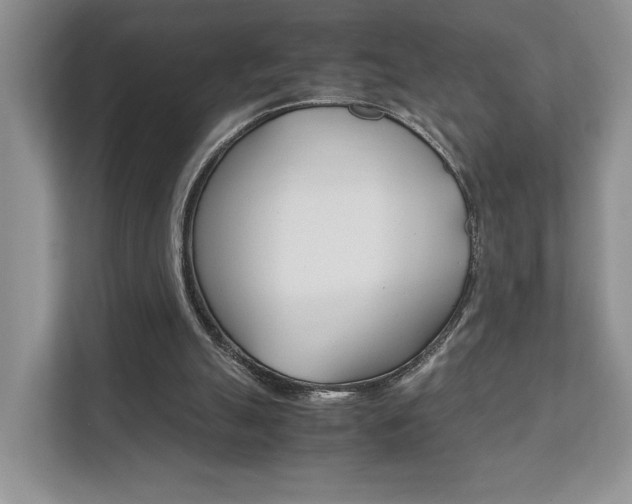 X0000111880055200907231435