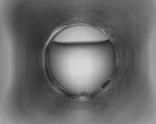 X0000111880056200907231435