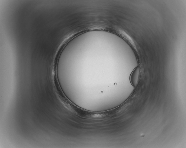 X0000111880059200907231435