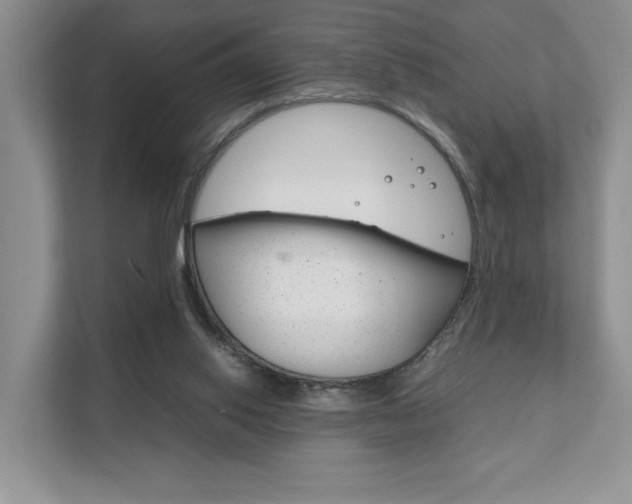 X0000111880062200907231435