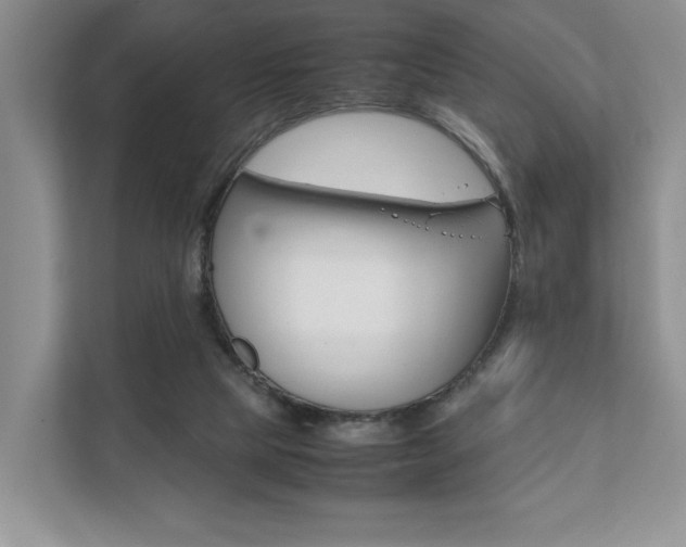 X0000111880065200907231435