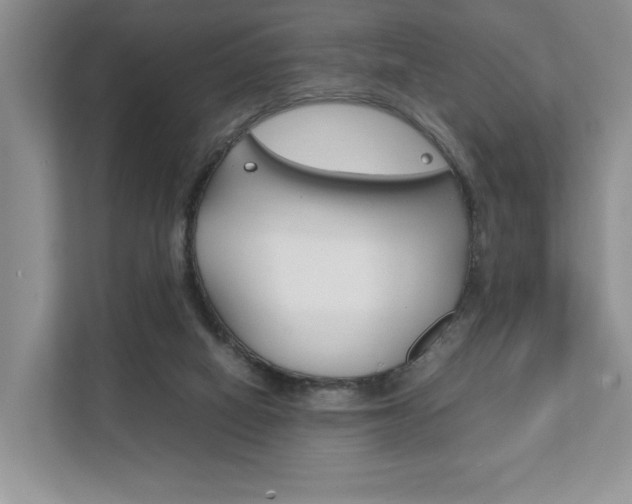 X0000111880066200907231435