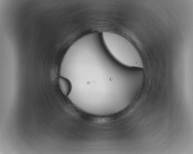 X0000111880073200907231435