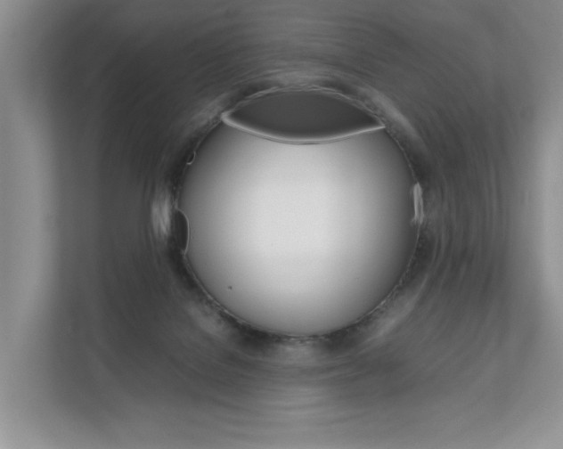 X0000111880076200907231435