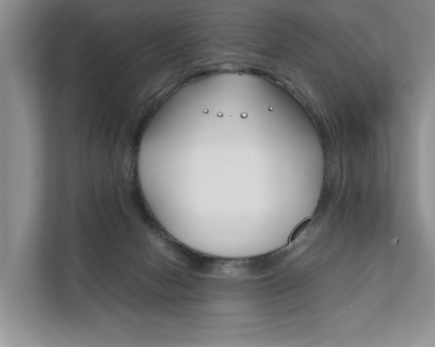 X0000111880078200907231435