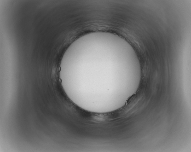 X0000111880079200907231435