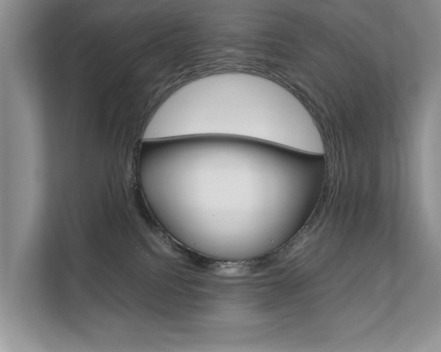 X0000111880088200907231436