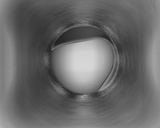 X0000111880092200907231436