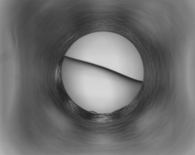 X0000111880095200907231436