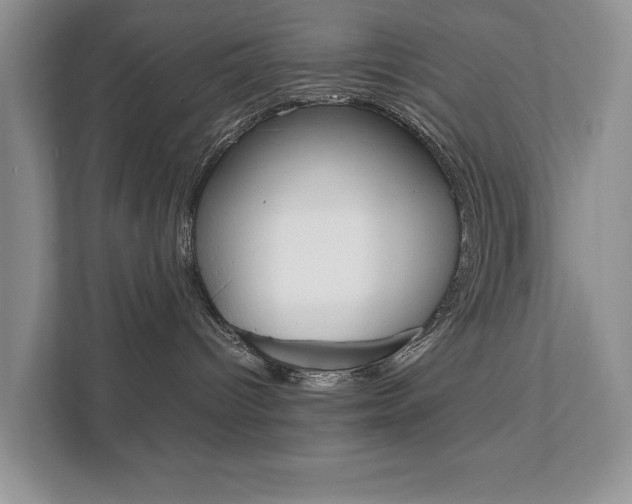 X0000111880096200907231436