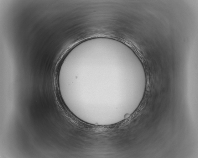 X0000111880098200907231435