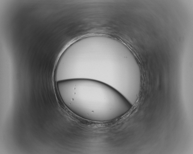 X0000111880100200907231435