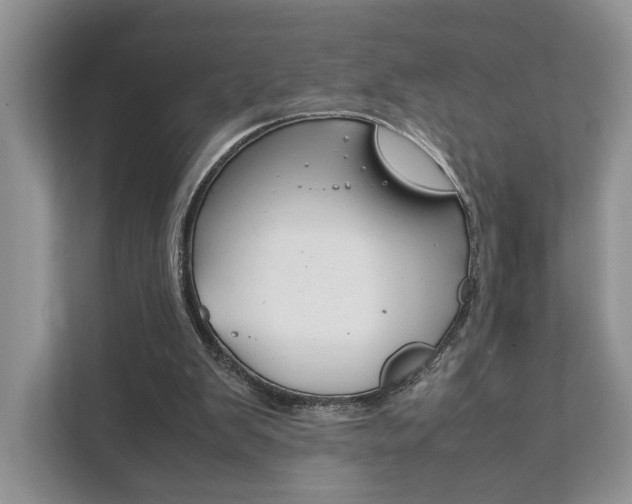 X0000111880103200907231435