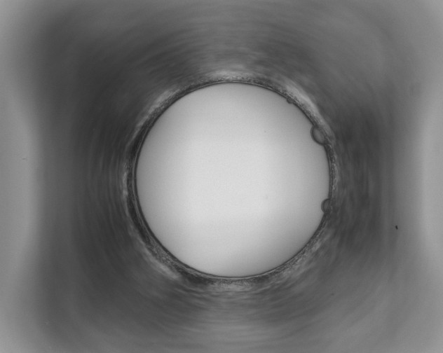 X0000111880106200907231435