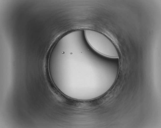 X0000111880107200907231435