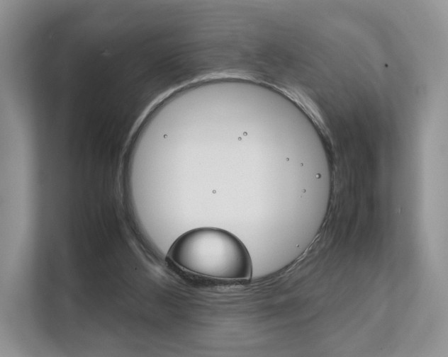 X0000111880108200907231435