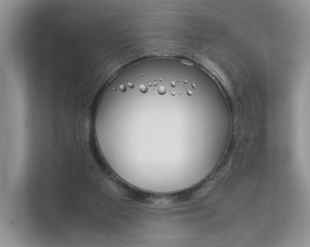 X0000111880113200907231435