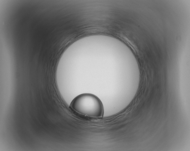X0000111880117200907231435