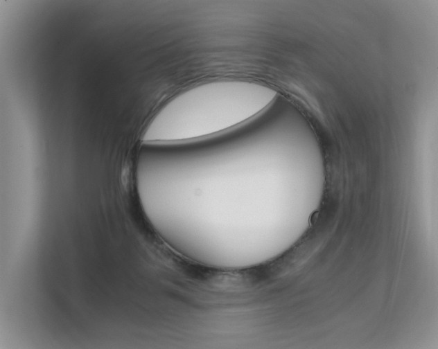 X0000111880123200907231435
