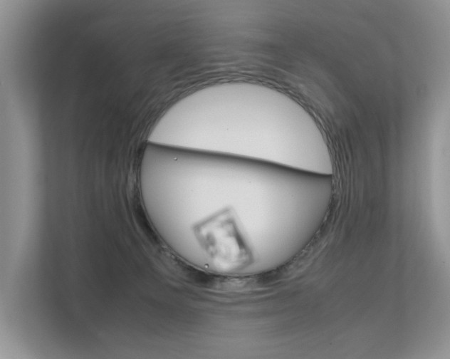 X0000111880129200907231435