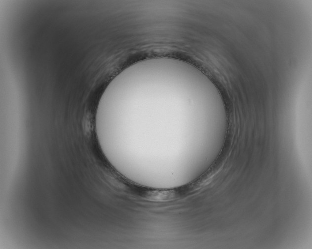 X0000111880135200907231435