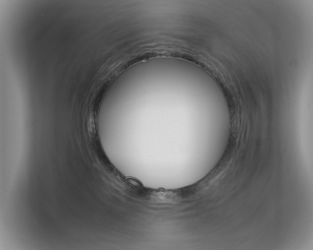 X0000111880137200907231435