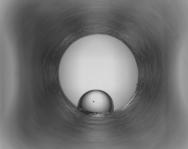 X0000111880140200907231434