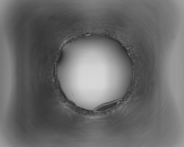 X0000111880144200907231434