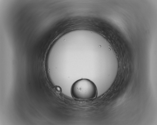 X0000111880146200907231434