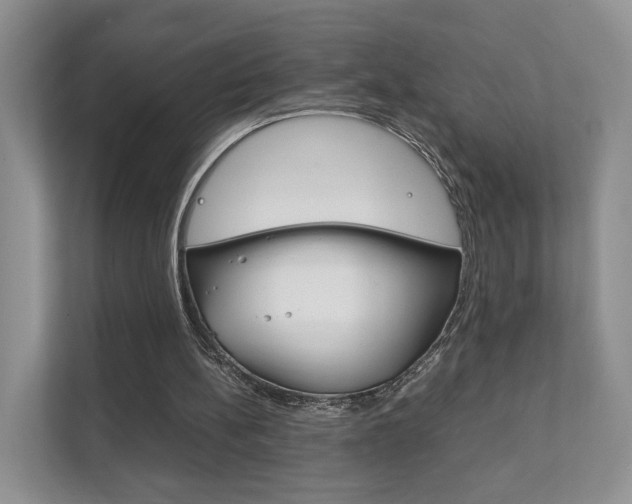 X0000111880148200907231434