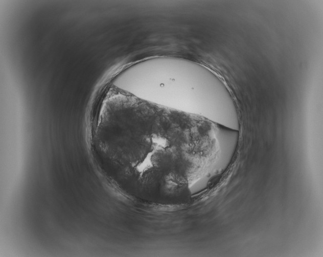 X0000111880149200907231434