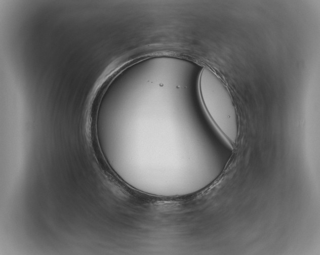 X0000111880150200907231434