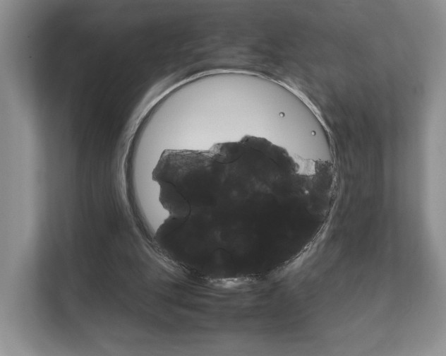 X0000111880151200907231434