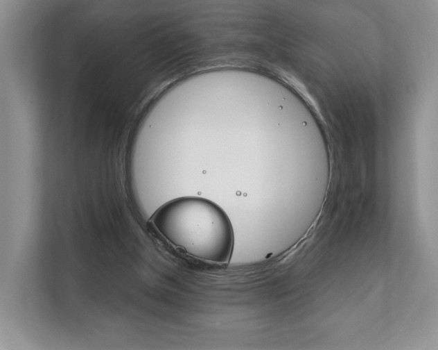 X0000111880154200907231434