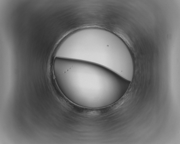 X0000111880156200907231434