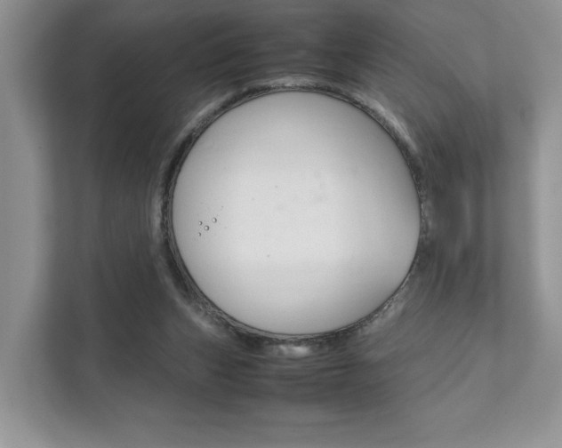 X0000111880159200907231434