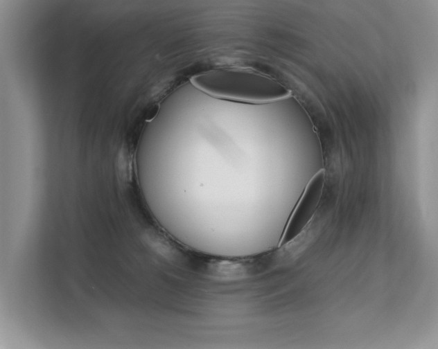 X0000111880180200907231434