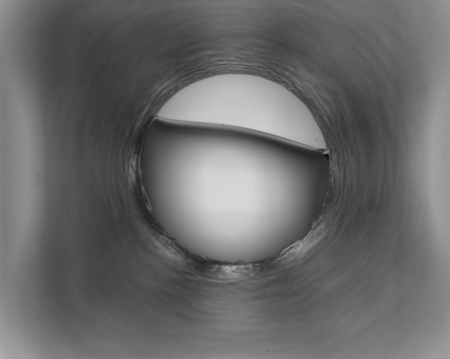 X0000111880188200907231434