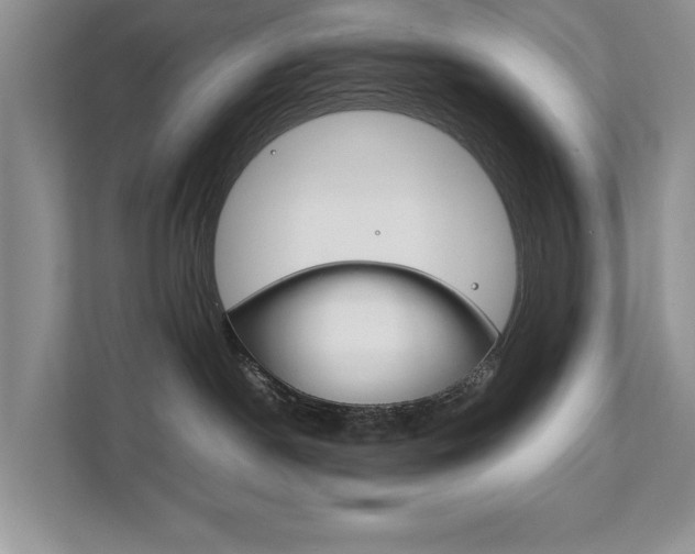 X0000111880190200907231434