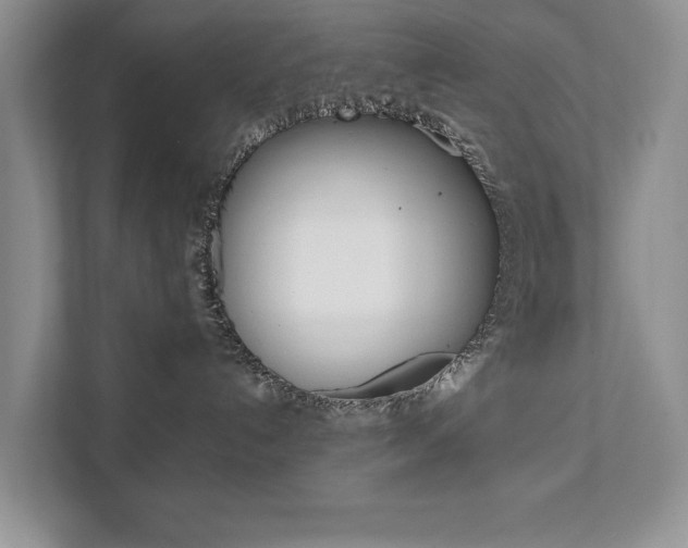 X0000111880192200907231434