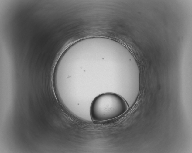 X0000111880195200907231434