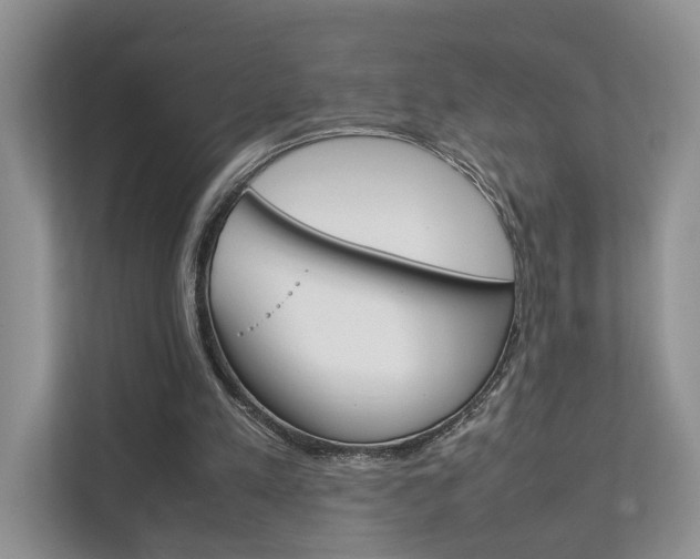 X0000111880197200907231434