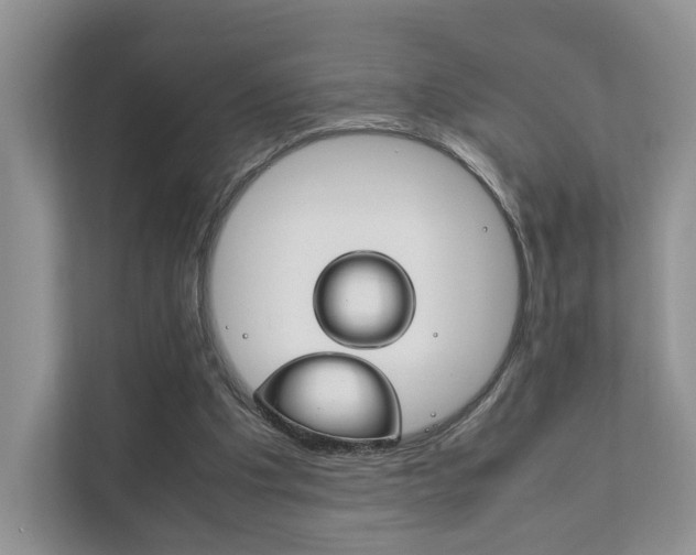 X0000111880201200907231434